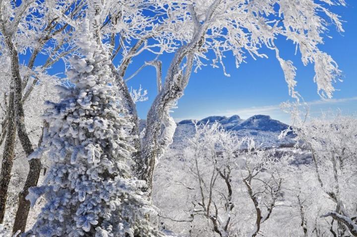 Handsome 2Br Condo With Gorgeous Views In Sugar Mountain! Condo Eksteriør bilde